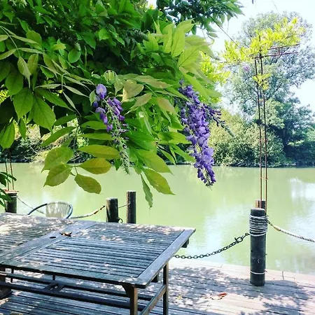 Quai Des Fleurs Saint-Savinien