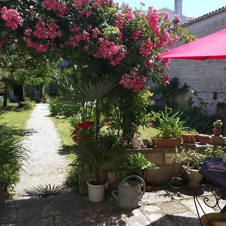 Quai Des Fleurs Frühstückspension Saint-Savinien