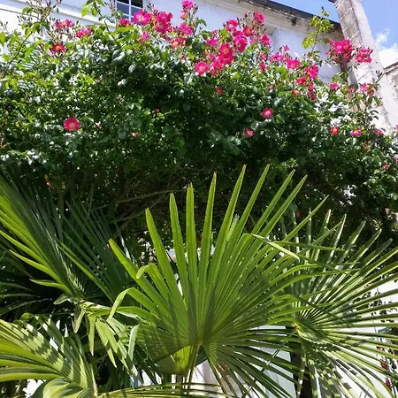 Quai Des Fleurs Frühstückspension